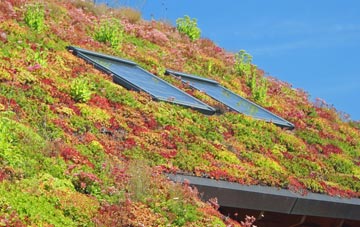 Holme Wood living roof systems
