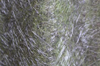 Holme Wood fibreglass roof work